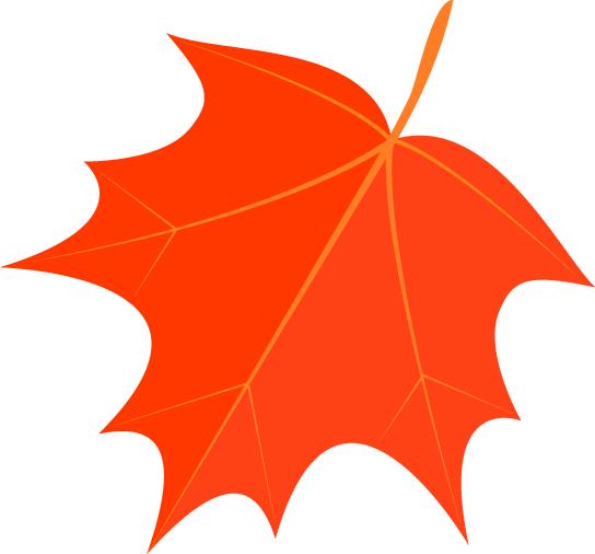 有问必答疾病知识,风湿患者问答