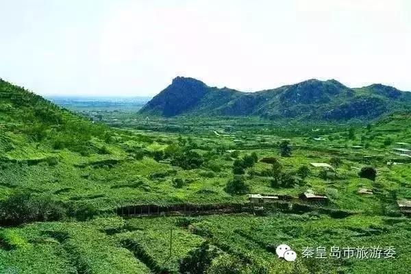 重磅,秦皇岛八个镇“升级”为全国重点镇!快看有没有你的家乡