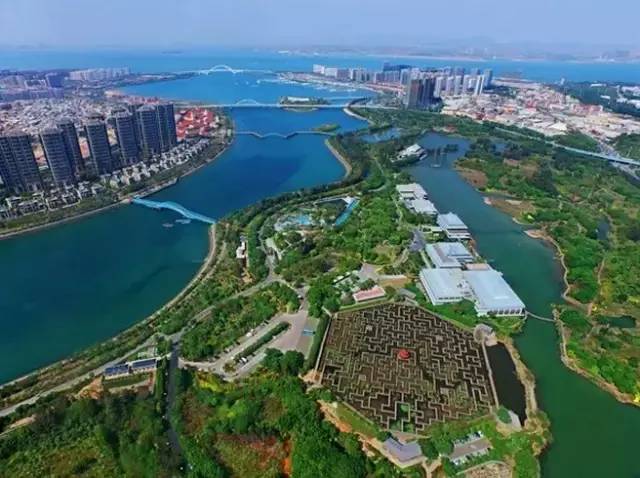 你为什么定居厦门,多少人离开了厦门