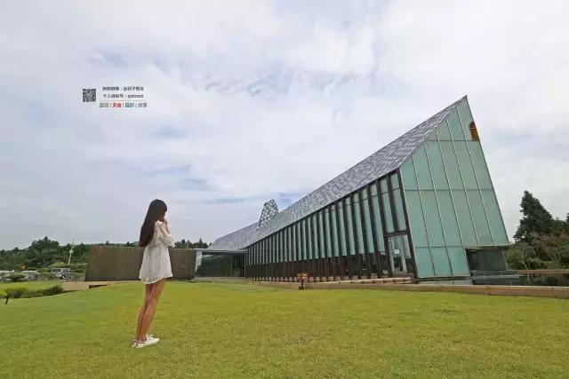 济州岛旅游美食攻略视频大全,济州岛美食旅游