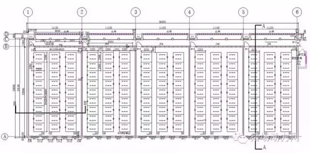 普通母猪场设计图纸,100头标准母猪场设计图