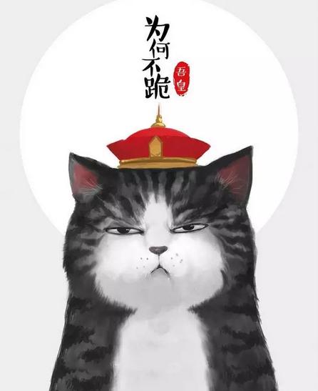 原创|“吾皇”老爸白茶来蓉破解婆媳千古难题