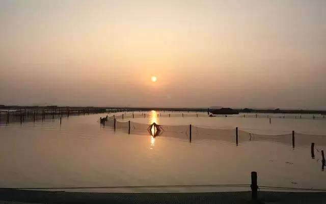 阳澄湖大闸蟹的未解之谜,阳澄湖大闸蟹怎么保证不死