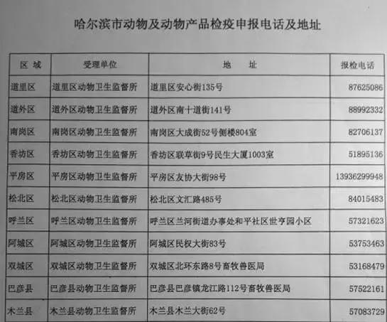 独家！教你如何带着宠物“坐“火车！