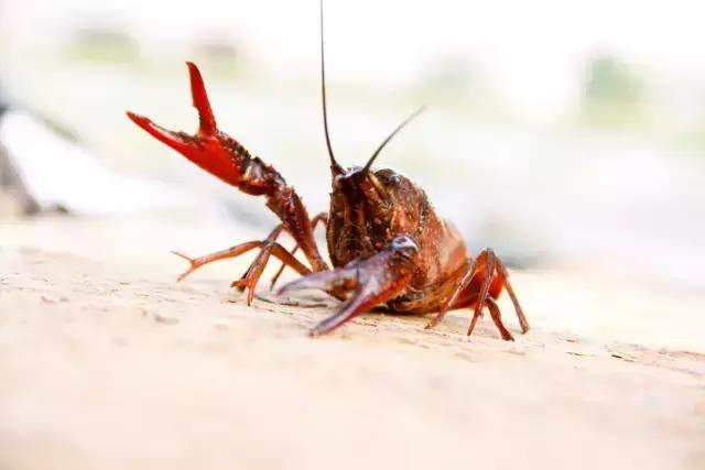 一封火爆全网的辞职信,一封辞职信的心声