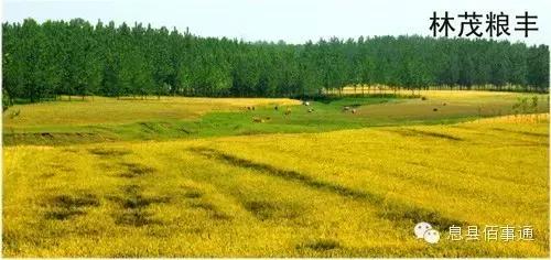 息县有什么,息县特色是什么