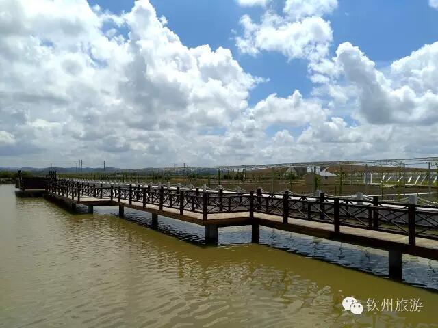 钦州周末出游攻略,钦州乡村旅游攻略