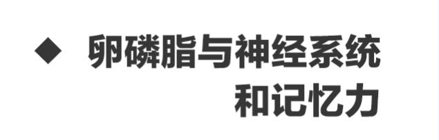 吃卵磷脂的好处和坏处是什么 (药用卵磷脂和保健卵磷脂有啥区别)