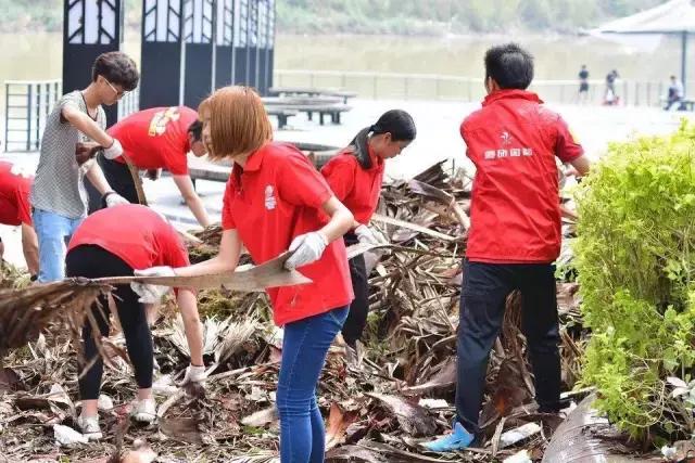 台风后的厦门值得一看,台风过后的厦门依然美丽