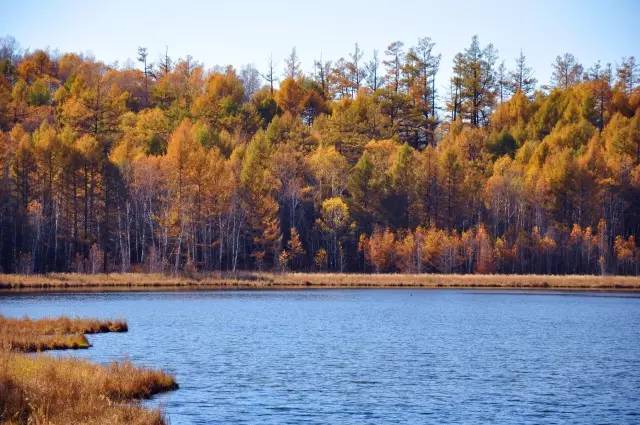 不需要知道你离世的理由，只愿你在天堂能重展笑容！
