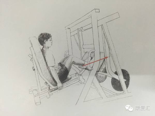 前交叉韧带重建术后还能打球吗,前交叉韧带重建术后康复训练pdf