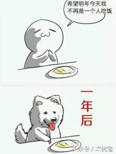 单身狗阶段性想谈恋爱,单身狗们有想恋爱的冲动吗