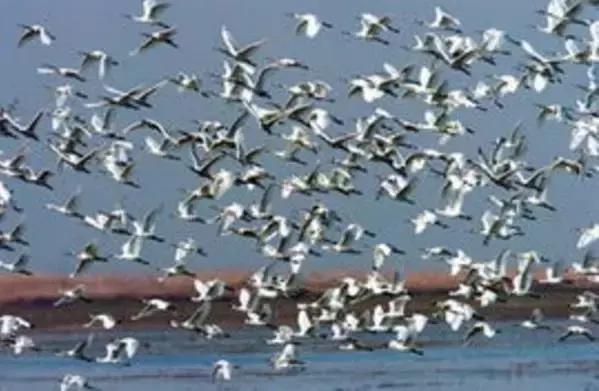 九江好玩的地方免费,九江市好玩的地方