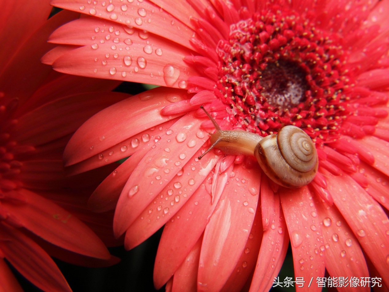 小蚁值得买吗,小蚁微单两个镜头怎么样