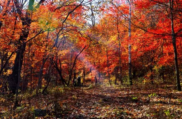 不需要知道你离世的理由，只愿你在天堂能重展笑容！