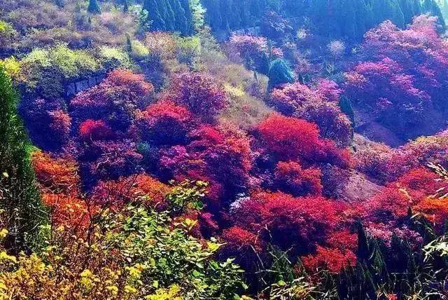 不需要知道你离世的理由，只愿你在天堂能重展笑容！