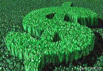 农村小本生意创业摆摊致富,农村残疾人创业致富项目