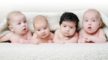 营养全面又好吸收的奶粉,奶粉营养含量高的有哪些