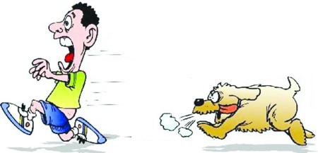 2030年消除狂犬病,消除狂犬病的国家有哪些