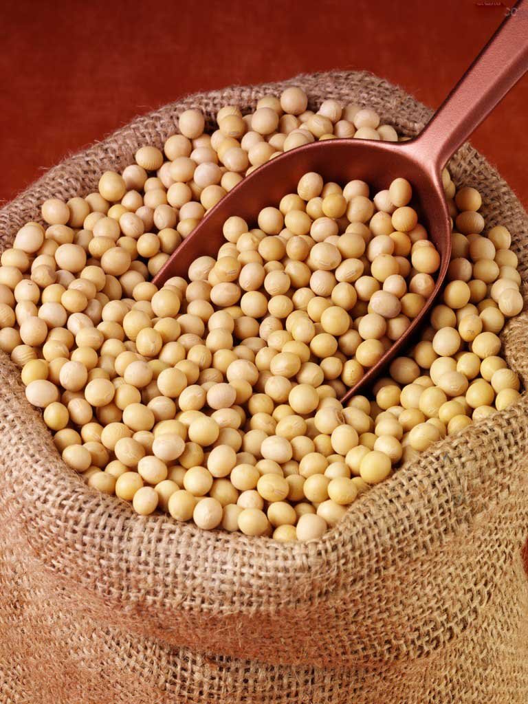 让纳豆变得好吃的方法 (纳豆究竟有什么营养可以经常吃吗)