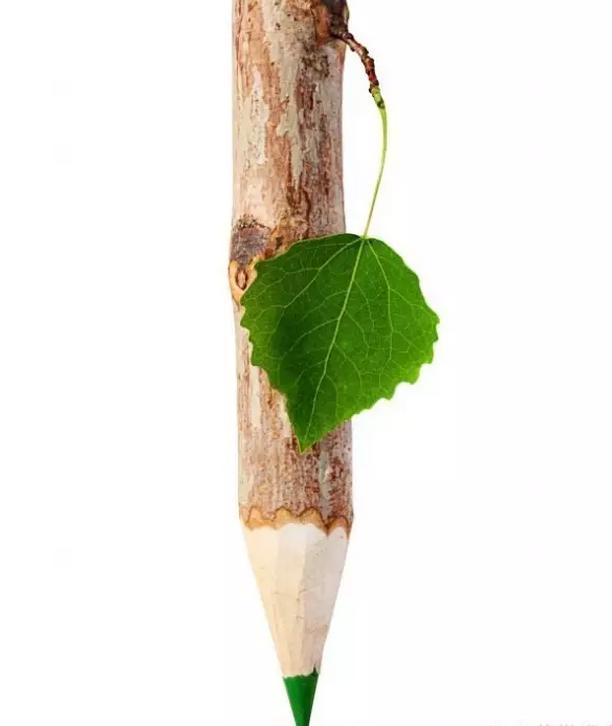 翁应龙实战技巧,翁应龙