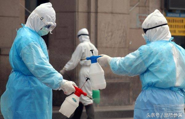 养猪人养猪一定要规避这5件事情,养猪用的消毒剂对身体多大伤害