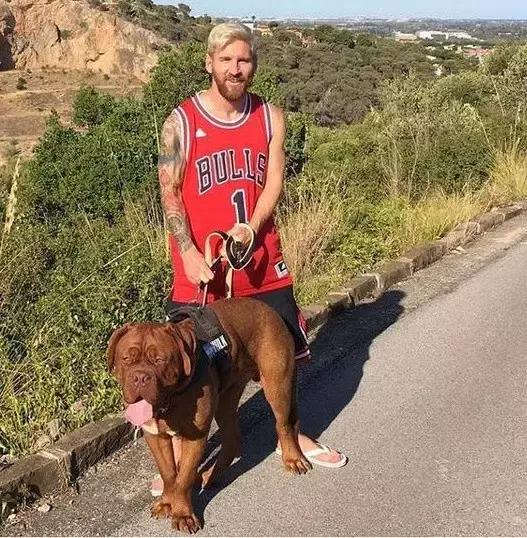 梅西狗狗,c罗和梅西家的顶级恶犬