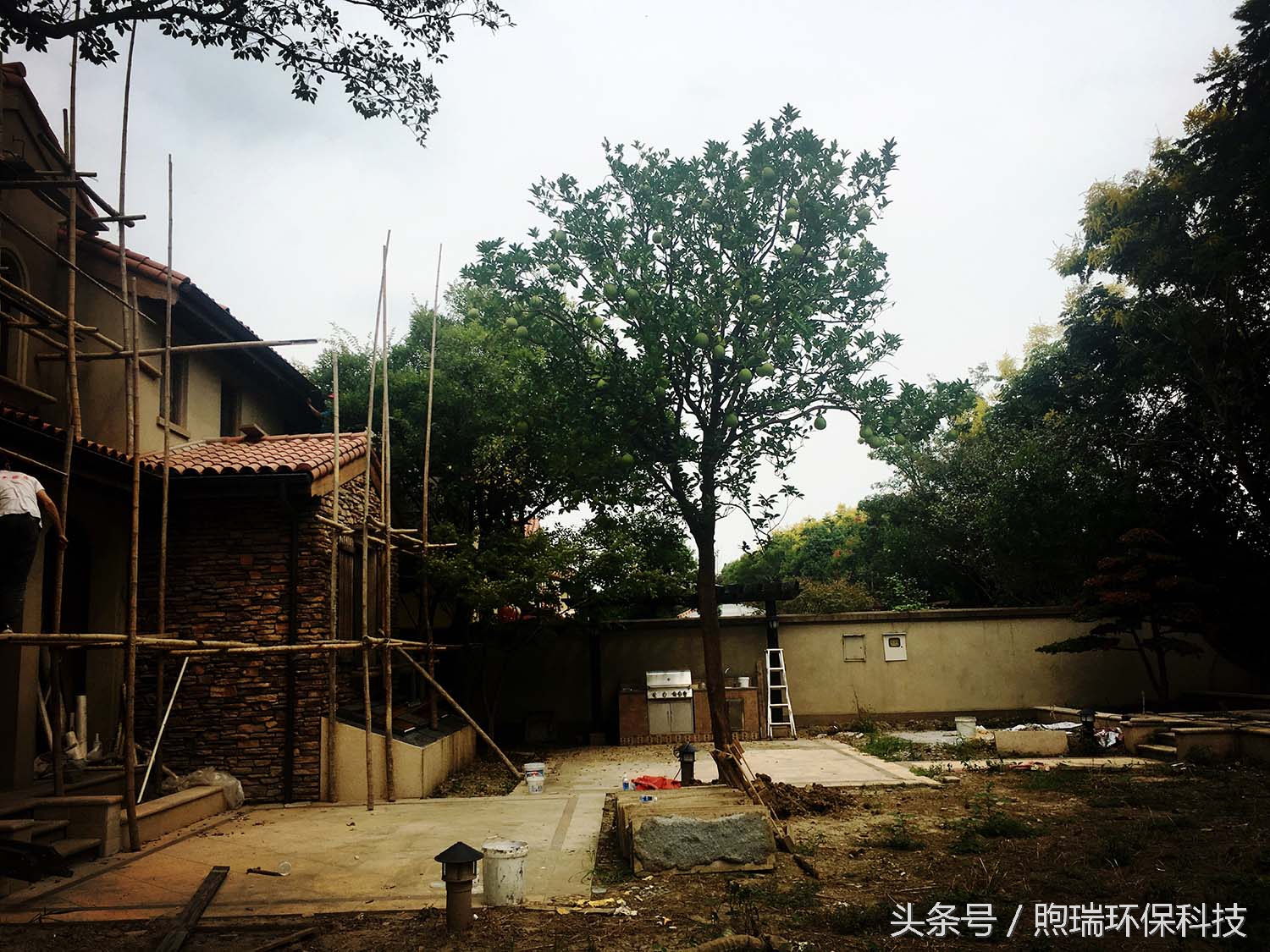 锦鲤鱼池花园庭院,最好看的长方形入户花园锦鲤鱼池