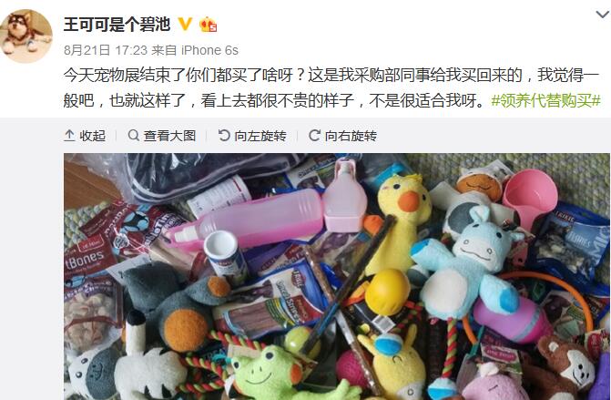 王思聪有多少个名字,王思聪的真实名字