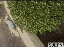 技能贴！教你如何和男朋友分手