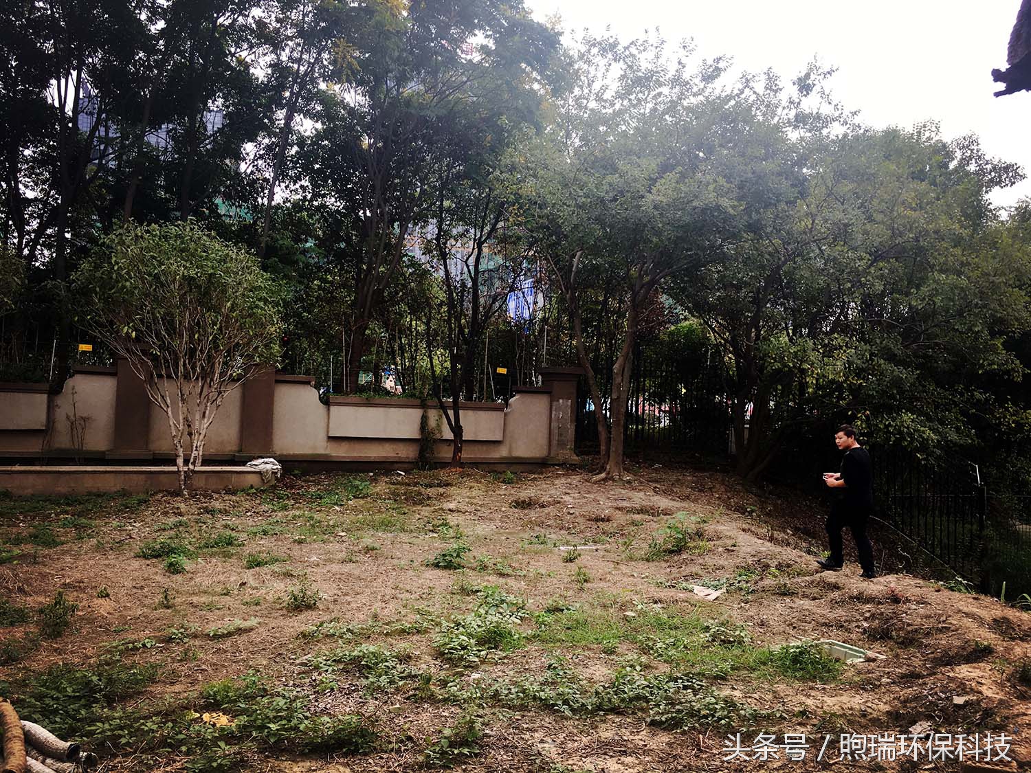 锦鲤鱼池花园庭院,最好看的长方形入户花园锦鲤鱼池