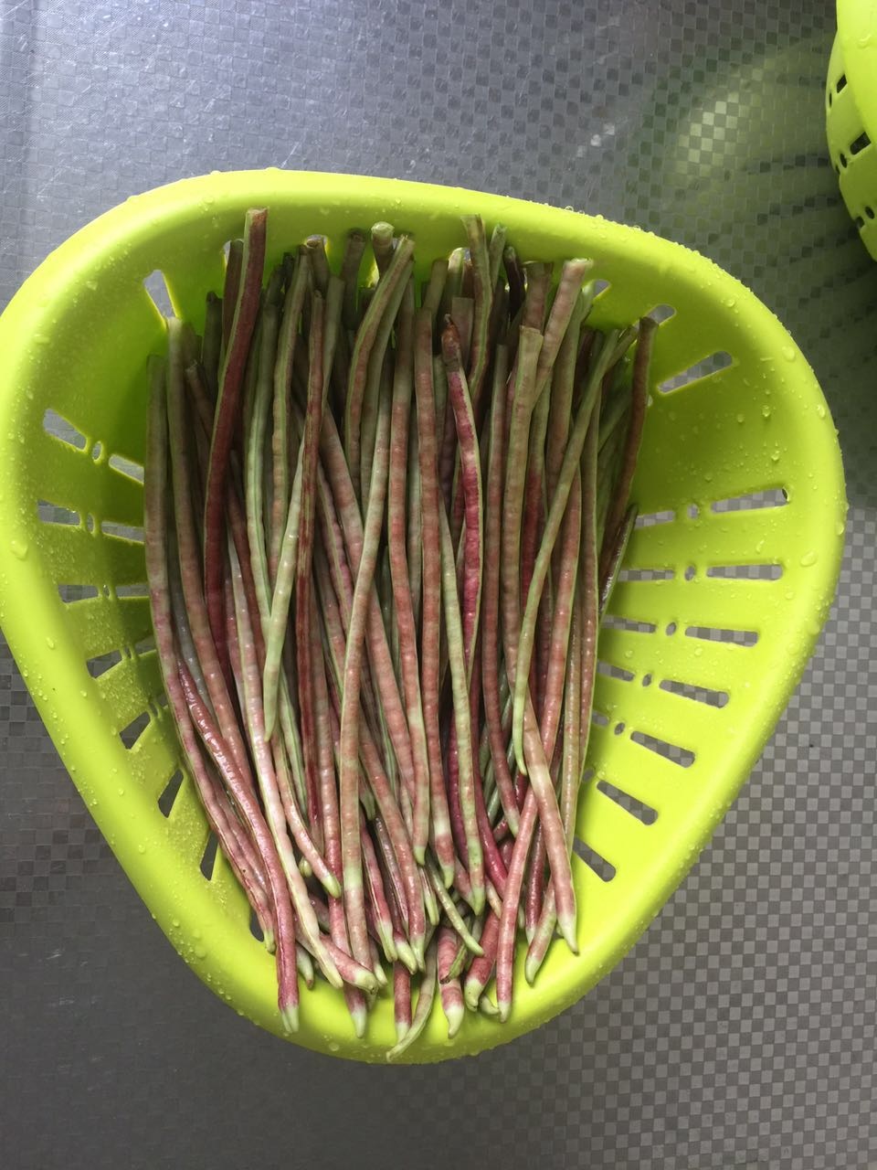 韭菜开的花,韭菜里面的花