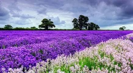 武汉你小瞧江夏了!机场、车都、新城!5年后的江夏再也高攀不起