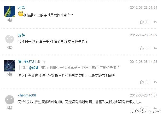 地仙有哪几种动物,有哪些宠物长的比较魔幻