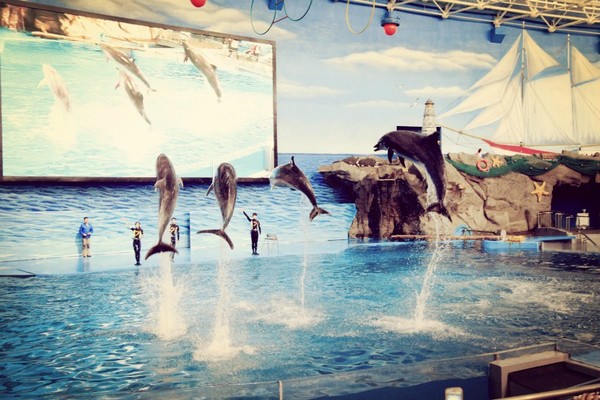 去大连必须做的6件事,去大连一定要做的事