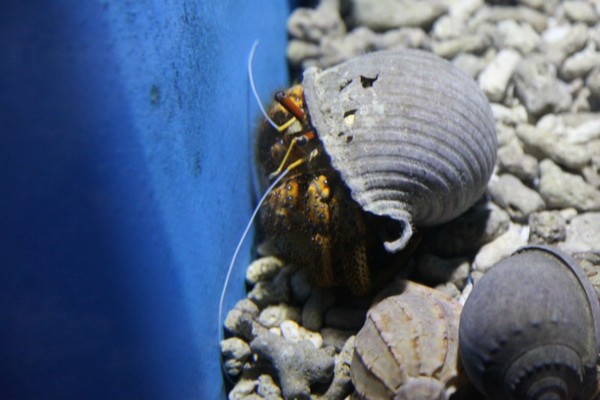 去大连必须做的6件事,去大连一定要做的事