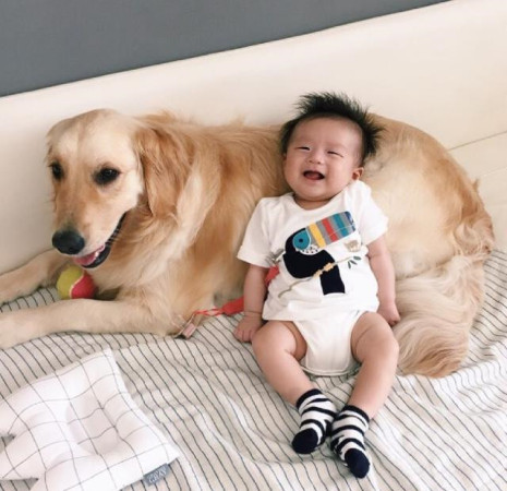 晒娃狂魔请克制自己,开启晒娃狂魔模式