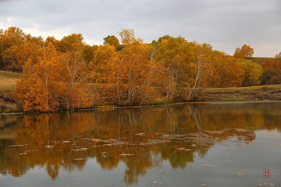 坝上草原雪景航拍,坝上草原秋景美图