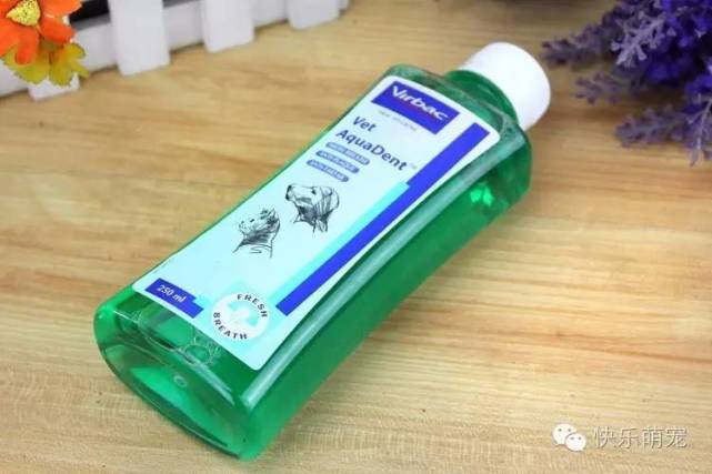 狗狗牙齿发黄怎么去除,狗狗牙齿黄怎么办