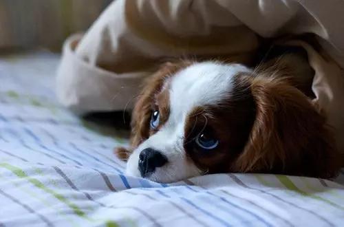 瞬间笑喷的爆囧奇葩，男人这种生物到底有没有情商啊！