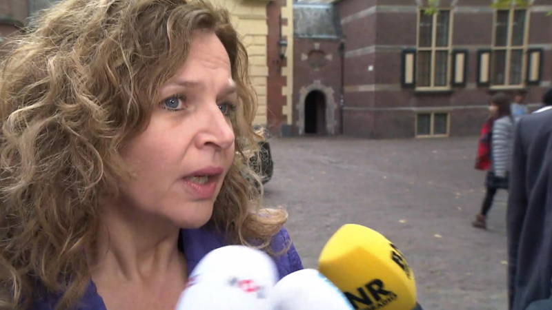 人造塑料草皮有毒吗,人造草坪毒性