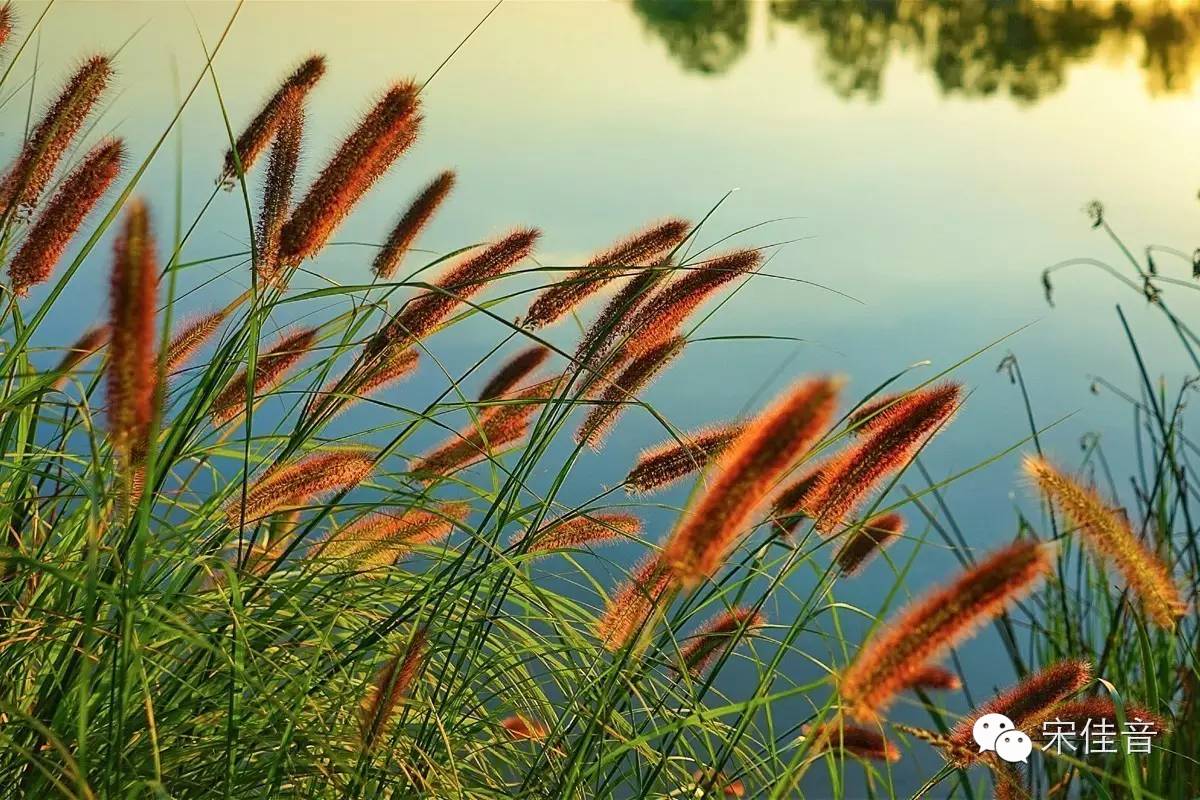颐和园夕阳非常美的意境,北京颐和园冬天夕阳美景