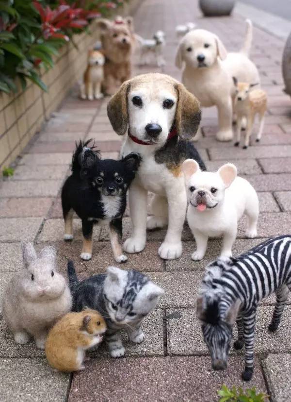 在日本买到假货,日本假货最新处理方法