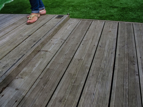 最小年纪摄影师,最小的摄影师6岁作品