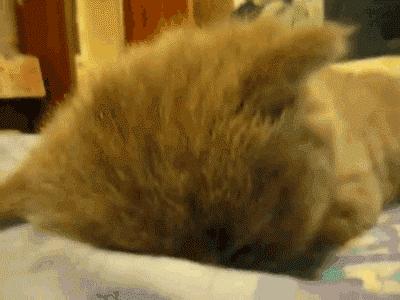 高铁沈阳到西安几小时,向美食出发