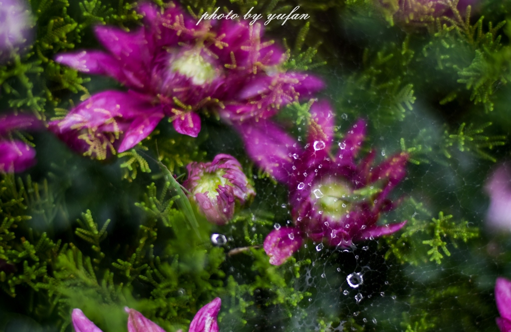 埃菲尔铁塔才区区百年，开封铁塔已矗立千年