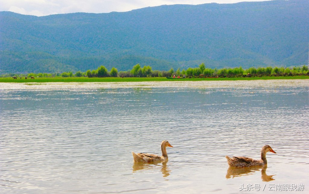 丽江9-10月份天气怎么样,云南丽江现在天气穿衣指数