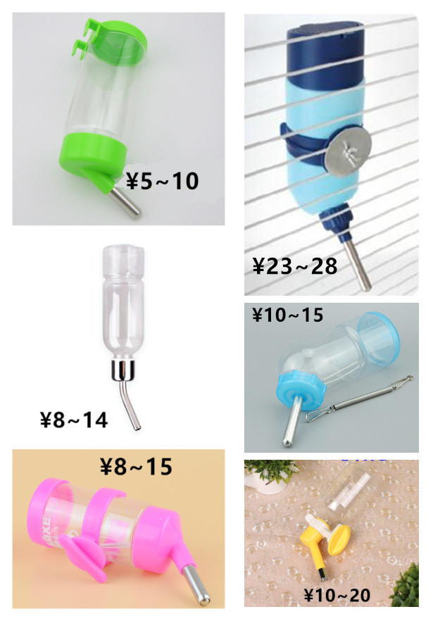 养一只荷兰猪需要花多少钱,养一只荷兰猪需要准备些什么