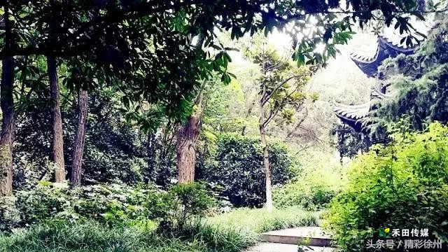 最美的5个赏桂好去处,不错过金秋赏桂好时节