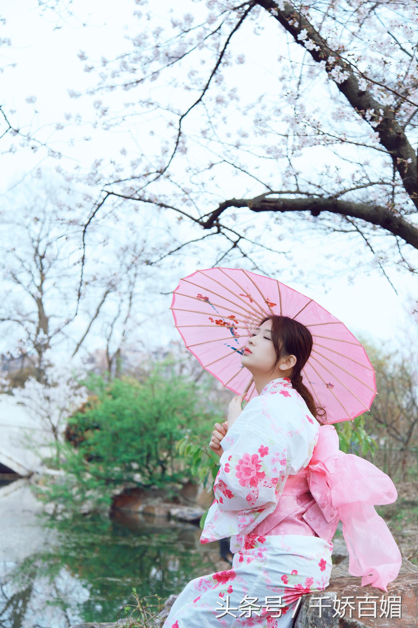 和服樱花日本,日本樱花美景和服